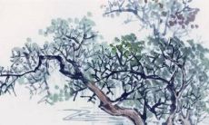 今年正月十六能理发吗 正月十六晚上烤火好吗