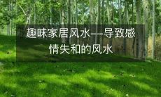 趣味家居风水--导致感情失和的风水