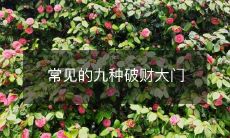 常见的九种破财大门