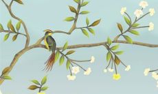 古代的六礼是哪六礼 具体有什么讲究吗