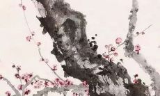 2021年8月11日店铺开张好吗 店铺开张合适吗