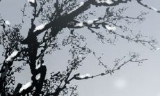 大六壬准确率有多高 大六壬实用吗