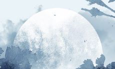 甲木日元最厉害的格局 甲木日元的特征