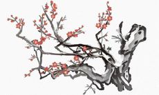 2021年7月29日能开张吗 是不是好日子