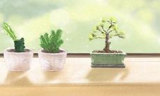 深情or风流?水瓶座深情排行排第几