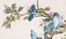 2021年7月27日宜开张开业吗 是开张最适合的吉日吗