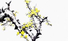 2021年7月30日开张大吉吗 店铺开张合适吗