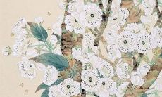 2021年7月26日开张合适吗 店铺开张合适吗