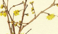 2021年7月31日公司开张好不好 是开张吉日吗