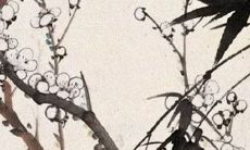 2021年8月9日开张合适吗 是黄道吉日吗