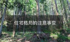 住宅格局的注意事变