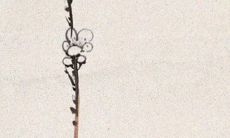 2021年8月8日是开张吉日吗 是开张吉日吗