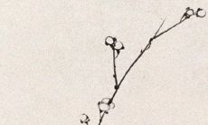 2021年8月7日公司开张好不好 店铺开张合适吗