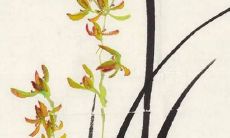 2021年8月10日宜开张开业吗 是不是好日子