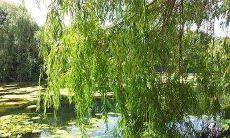 卧室直对楼梯口好不好 如何化解