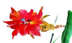 2023年3月3日是农历多少星期几 今日良辰吉时