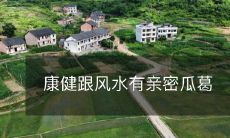 康健跟风水有亲密瓜葛