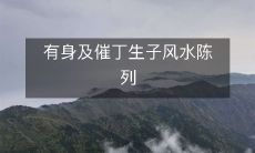 有身及催丁生子风水陈列