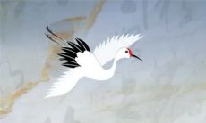 2023年正月初十做生日好吗 大年初十宜办生日宴吗