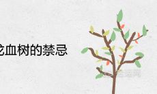 家里放龙血树的禁忌及寓意
