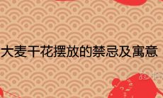 大麦干花摆放的禁忌及寓意