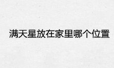 满天星适合放在家里哪个位置最吉利招财