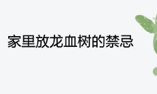 家里放龙血树的禁忌及寓意讲究