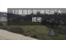 12星座卧室“桃花运”大揭密