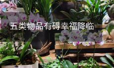 五类物品有碍幸福降临