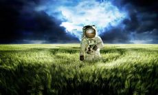 蓝绿姓名评分76分