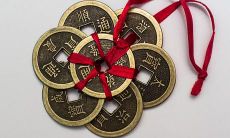 家中摆放哪些花提升运气