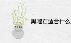 黑曜石适合什么生肖人佩戴最吉利招财