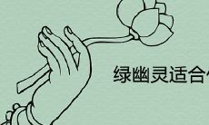 绿幽灵适合什么生肖佩戴