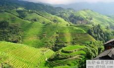 地柜放在客厅里有什么具体的风水讲究