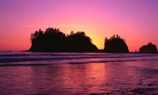 适合虎宝宝名字 简约大全的虎宝名字