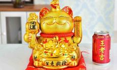 2021年新历10月哪些天不是开张吉日 注意避免选错日子