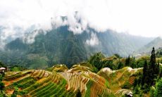 姓王好听顺口的女孩名字 王姓女孩名字大全