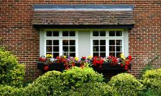 养猫对家居风水有什么影响