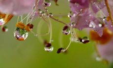 汤姓男孩起名大全 汤姓男宝宝名字合集