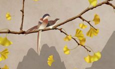 女方父母见面礼 男方见家长的礼仪