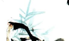 正月初八为什么去寺庙 年初八迎接什么神