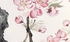 嫁女儿家里要怎样装饰 结婚时女方家布置