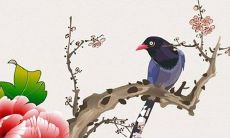 上门提亲带什么礼物 传统现代聘礼一览