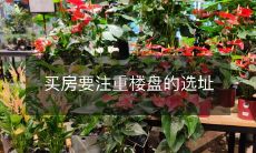 买房要注重楼盘的选址