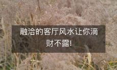 融洽的客厅风水让你滴财不露!