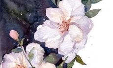 结婚为什么不能抱别人的孩子 结婚前后有什么禁忌