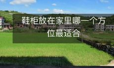 鞋柜放在家里哪一个方位最适合