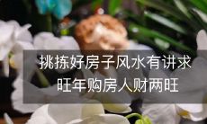 挑拣好房子风水有讲求 旺年购房人财两旺