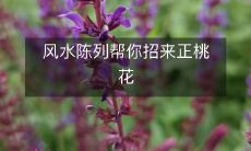 风水陈列帮你招来正桃花