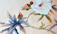 男方第一次登门六大样 男方初登门的讲究